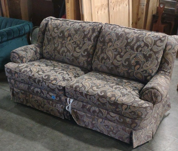 sleeper sofa