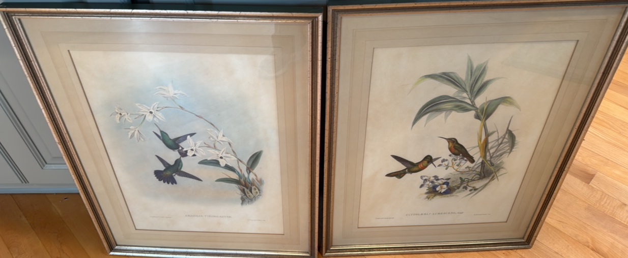 vintage hand colored lithograph of hummingbirds from John Gould