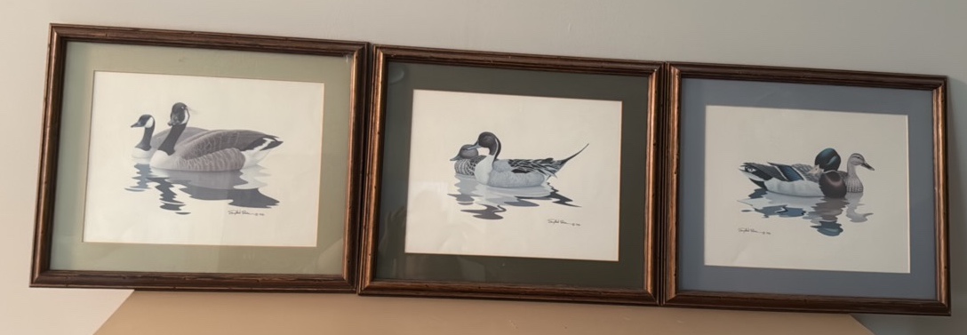 Three Vintage wildlife duck photos