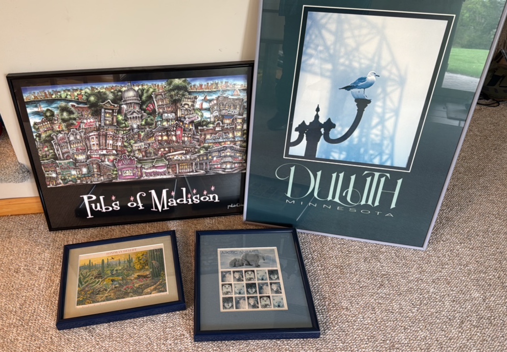 Collection of travel photos from Duluth, Madison, Sedona and Arctic Animals