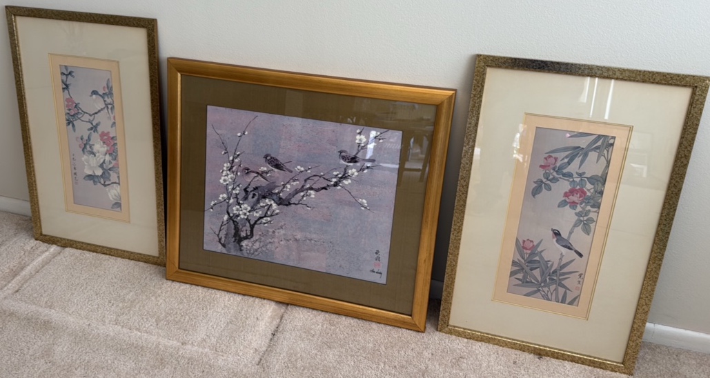 Three beautiful bird pictures