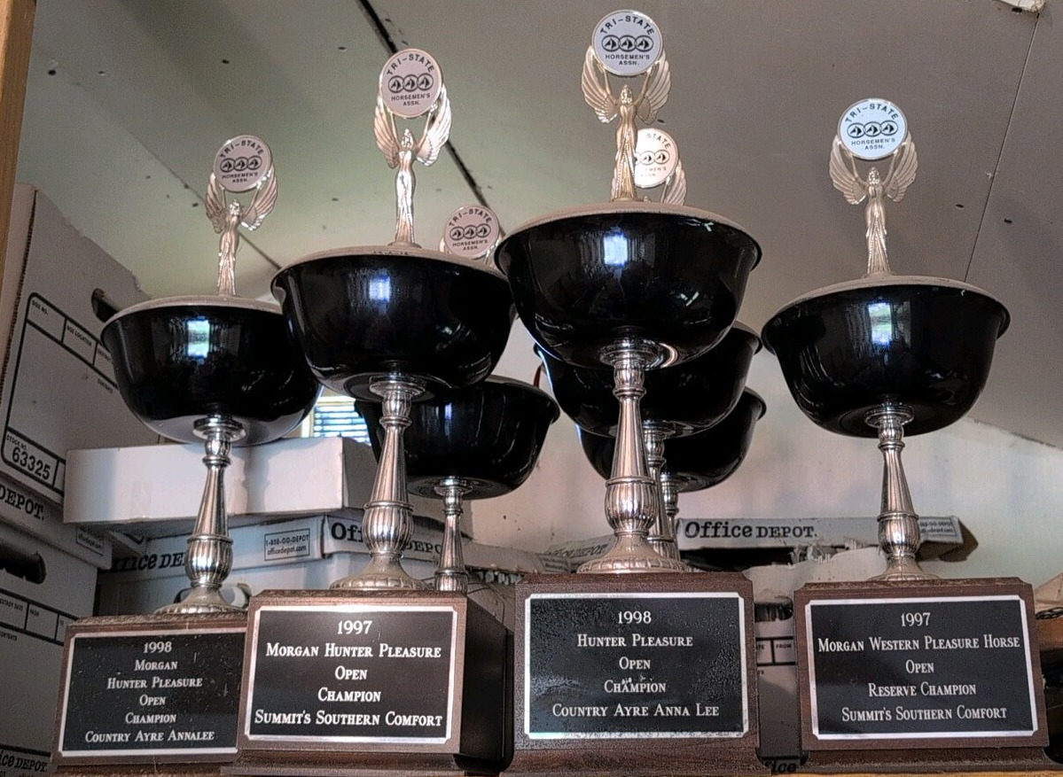 multiple trophies