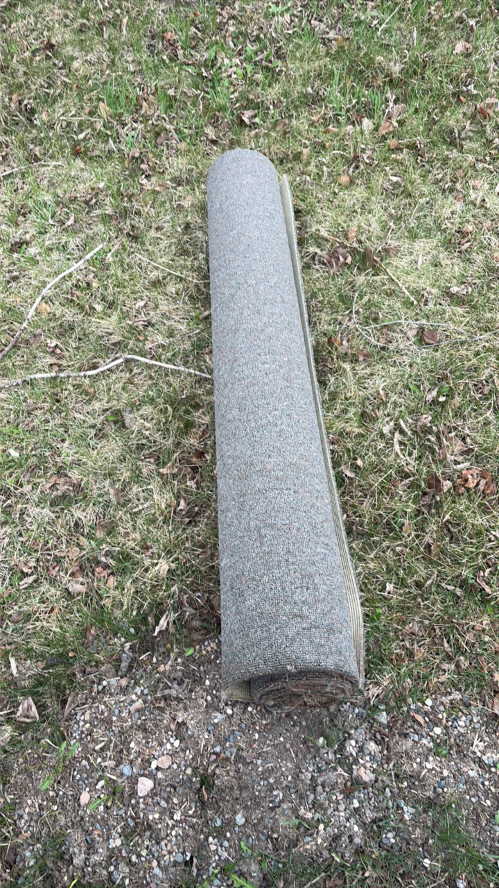 rug