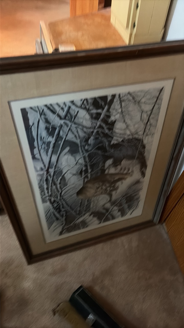 midwest art collection