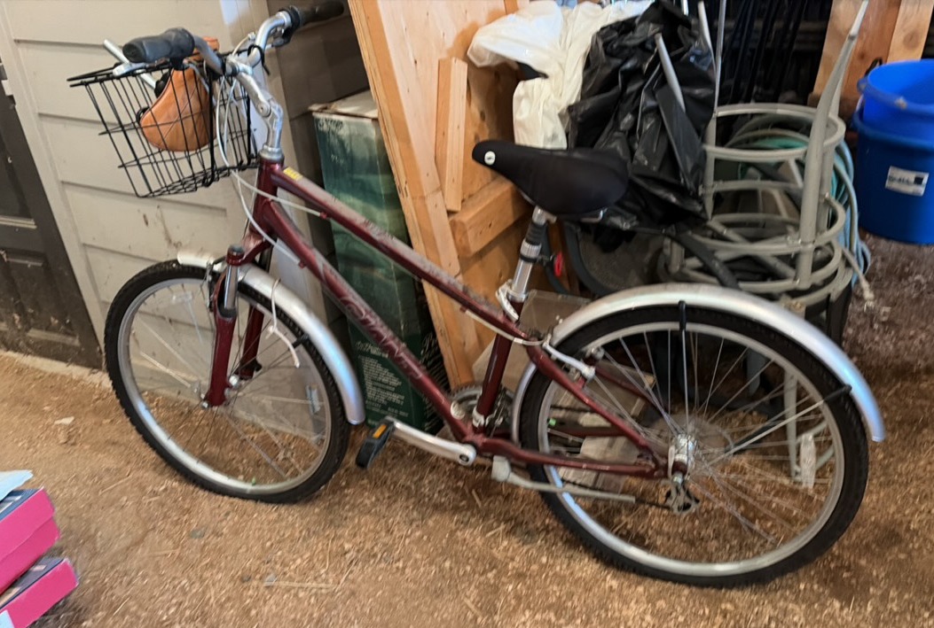 giant bike with extra seat