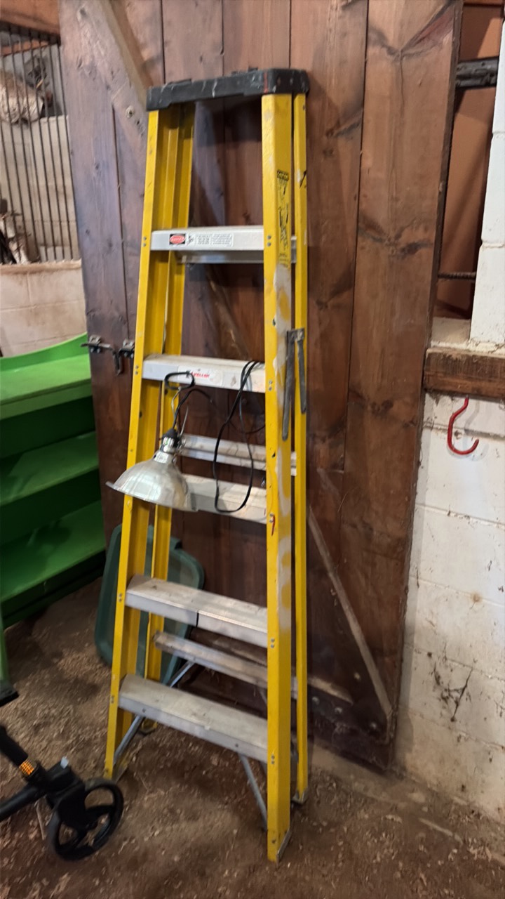 Keller step ladder