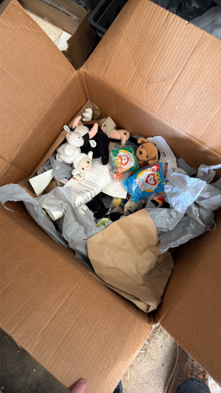 beanie babie collection