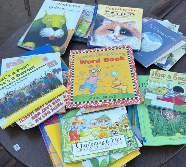 Stack of assorted kids books