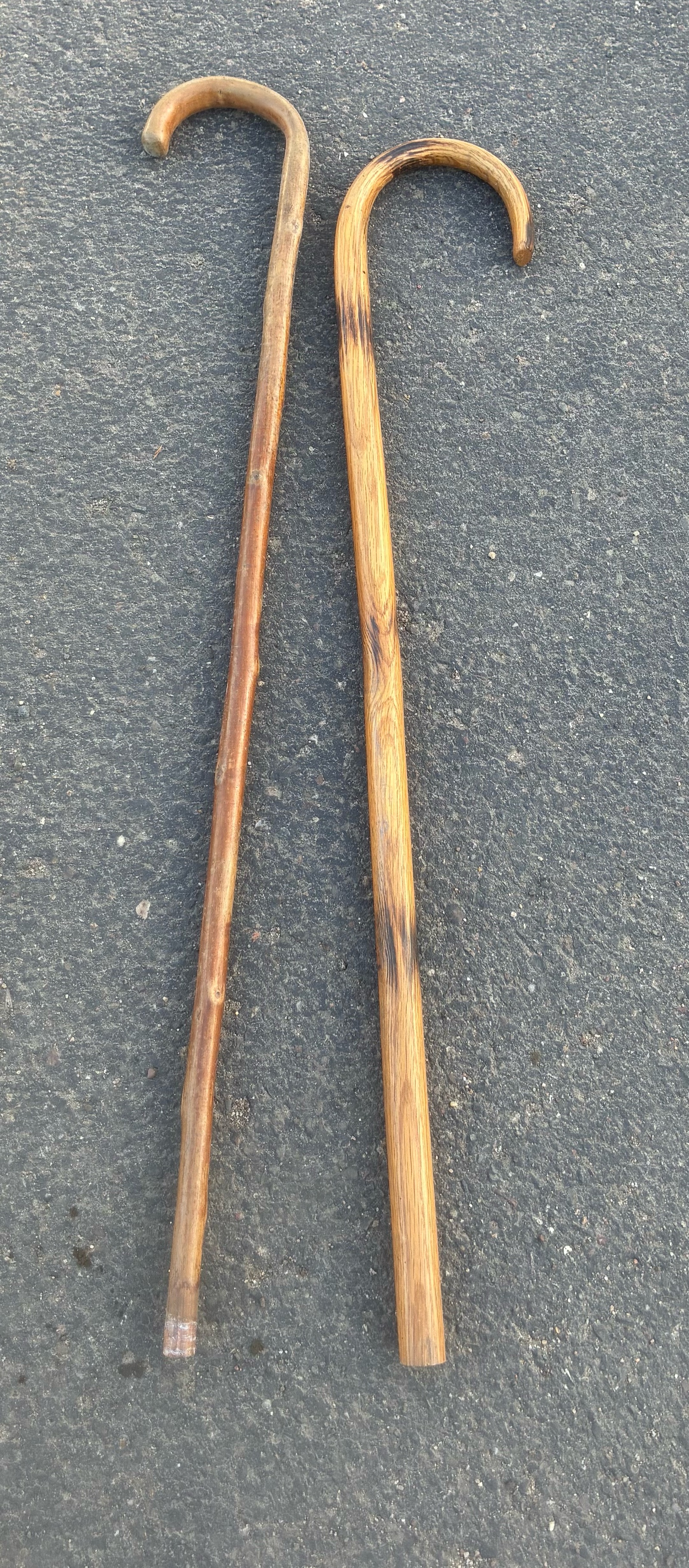 canes