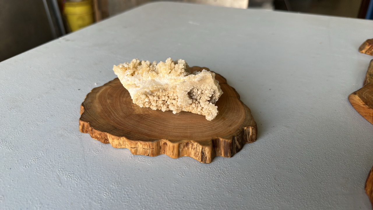 Wood bases for gemstone specimens (lot of 8)