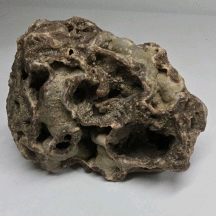 Natural Lava Rock Specimen  Porous Vesicular Basalt Display Piece