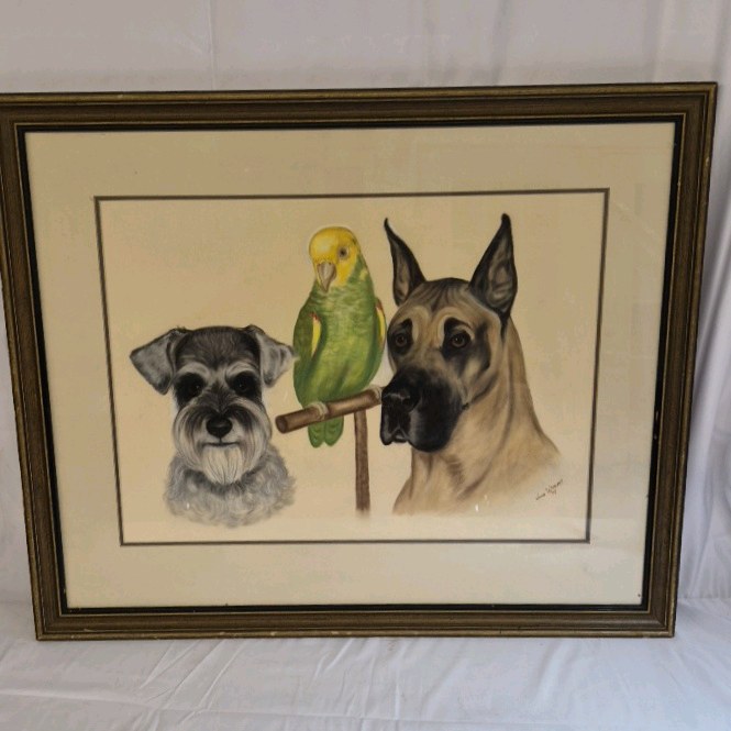 June Williams 1978 Dog Parrot Portrait Framed Art Schnauzer Great Dane