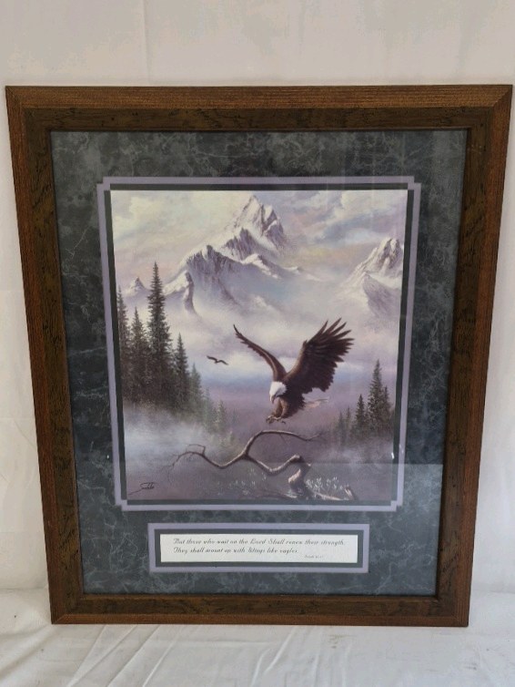 Vintage Bald Eagle Mountain Print Framed Wildlife Art Scripture Quote