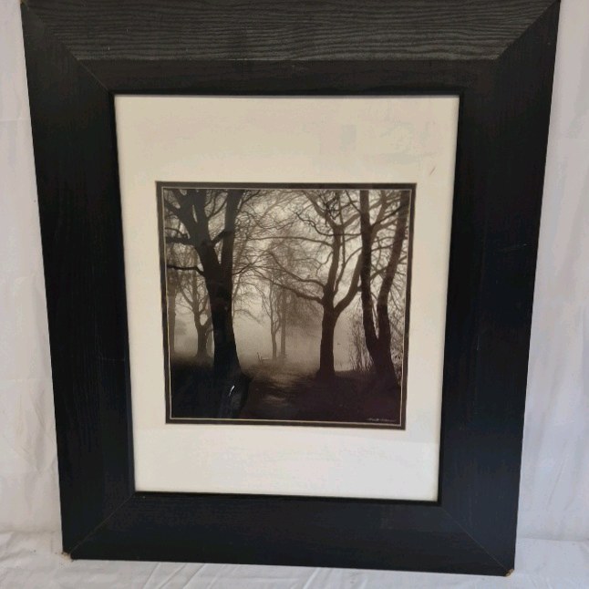 Harald Scherer Style Forest Landscape Print Framed Foggy Trees Path