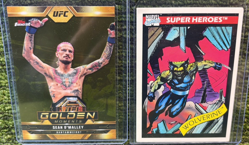 Warriors Lot Sugar Sean, & Wolverine