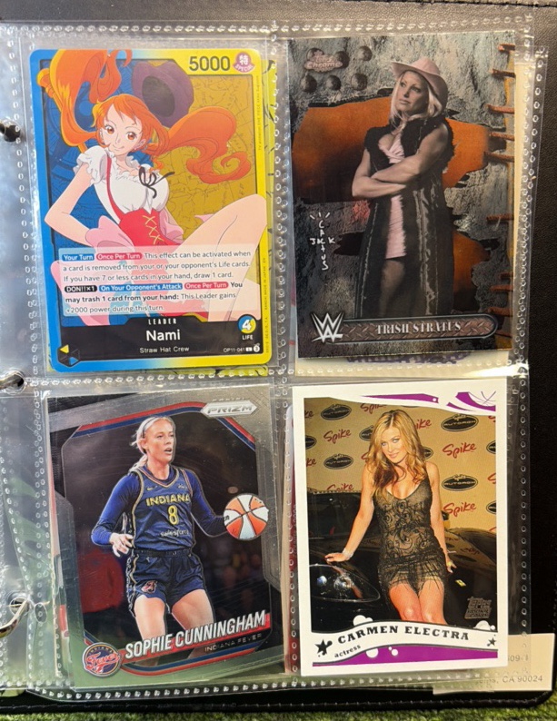 ALL FEMALE Awesomeness of Characters, Sports Icons, and MORE 6 Page Binder