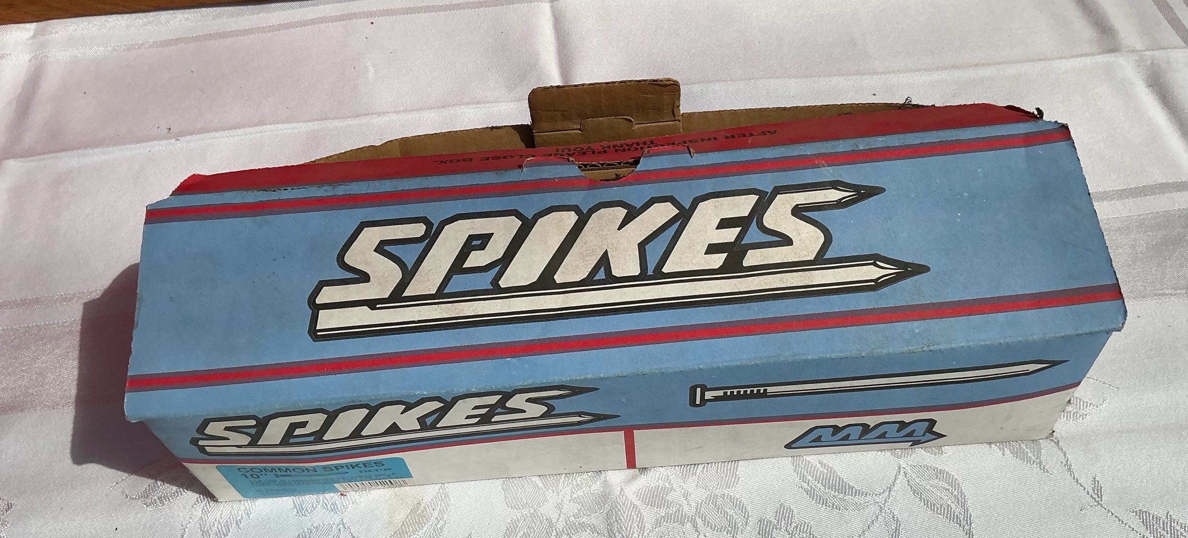 Common spikes 10 large Nails Construction