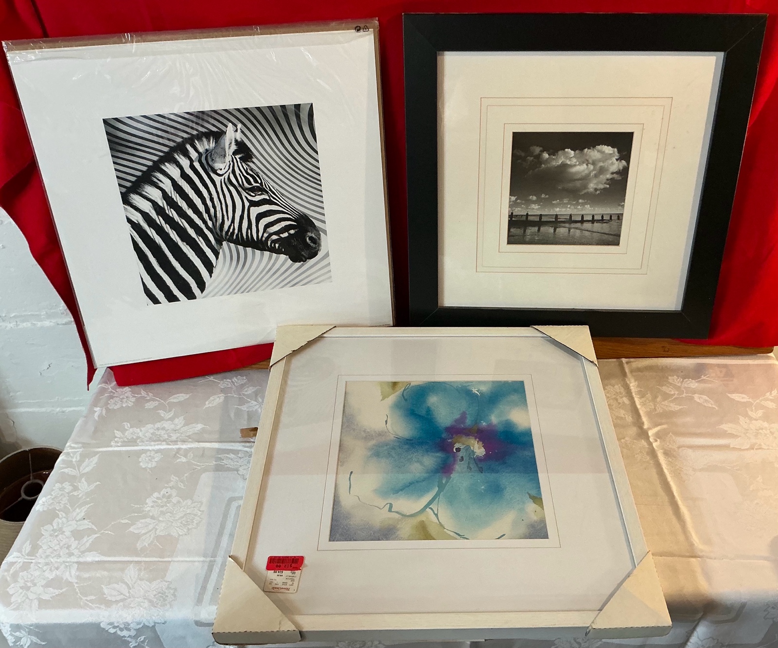 3 various prints Zebra Blue Floral Black & White