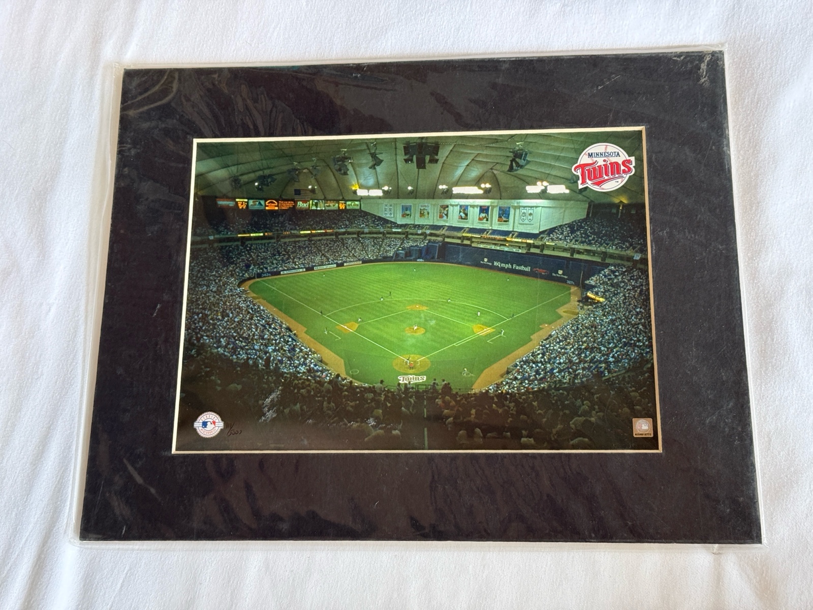 Minnesota Twins Baseball Metrodome Matted Photo