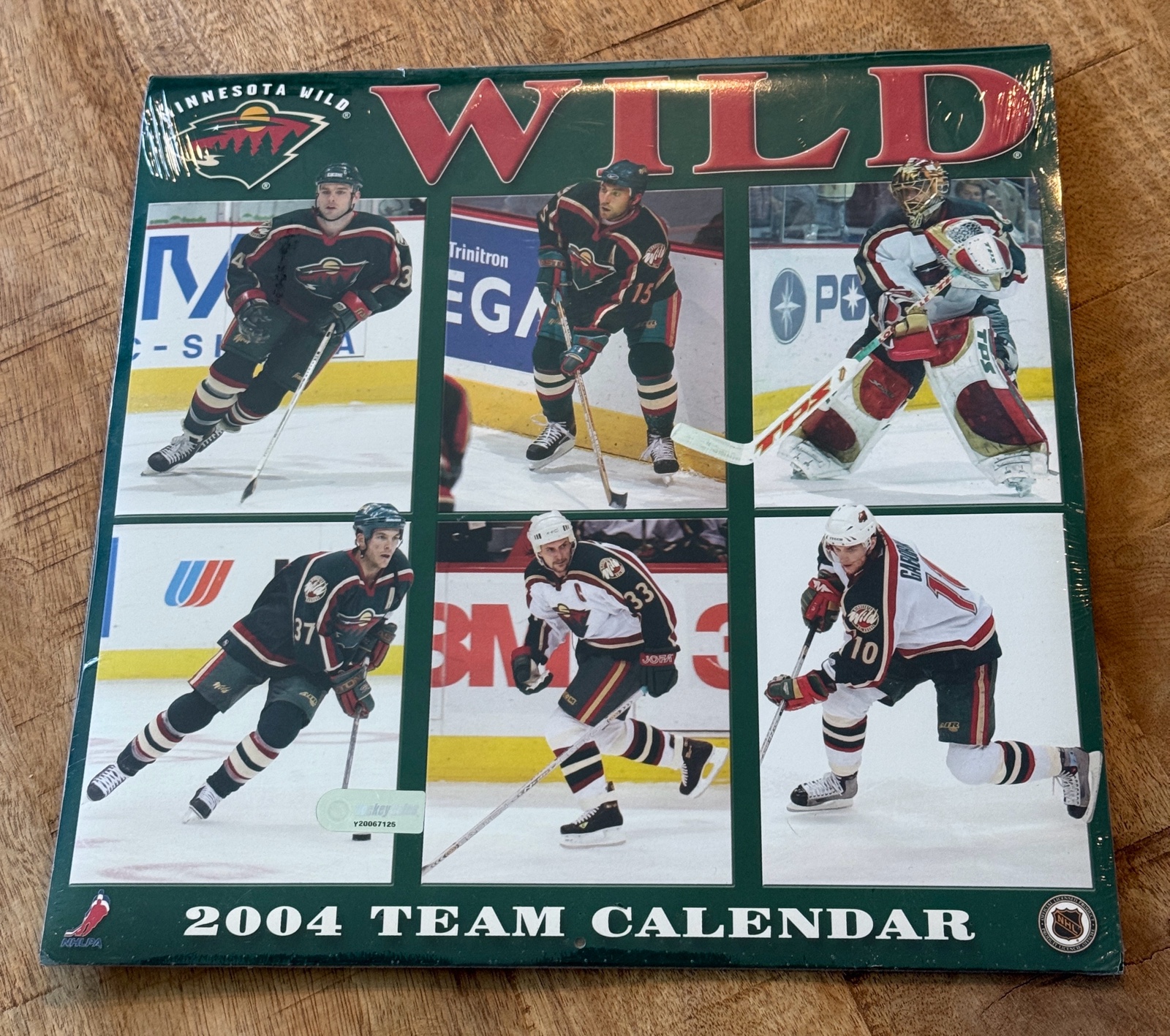 Minnesota Wild 2004 Hockey Calendar - New