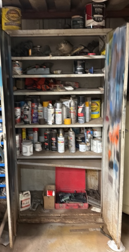 Metal cabinet with contents.