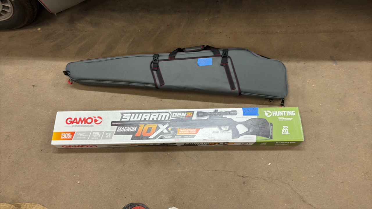 Gamo Adult Precision air gun