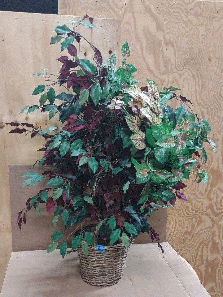 fake plant