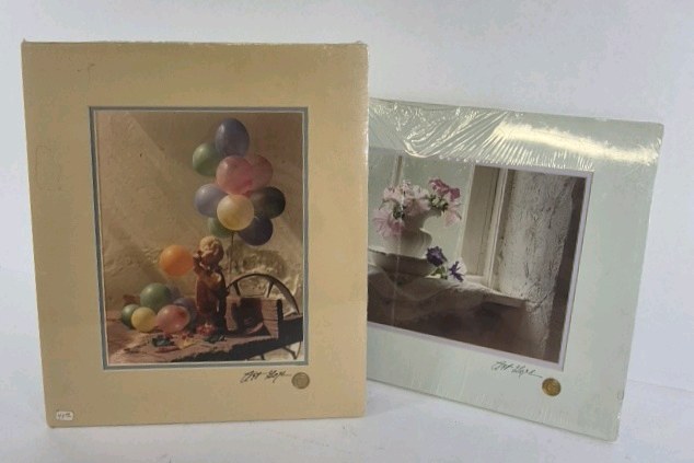 Art Gore Signed Photograph Lot Balloon Still Life Floral Window Prints Colorado