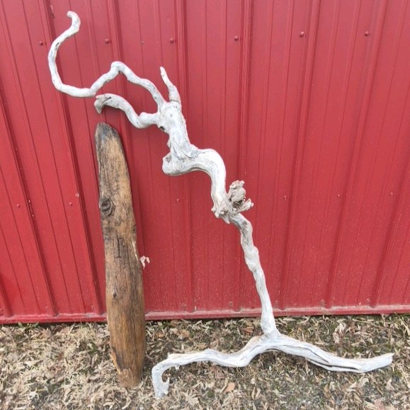 Natural Driftwood Branch Pieces Rustic Decor Craft Wood Lot