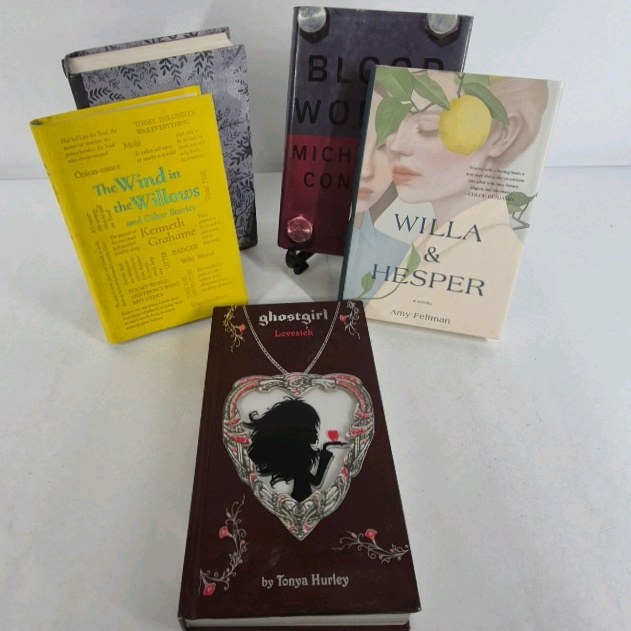 Book Lot The Wind in the Willows Ghostgirl Blood Work Willa & Hesper Fiction Novels