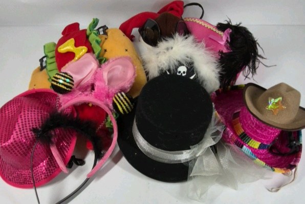 Pet Costumes Lot Dog Cat Hot Dog Outfit Hats Accessories Mixed Bundle