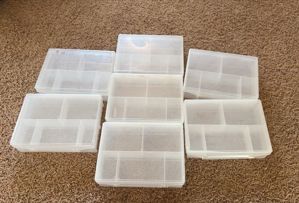 7 Clear Plastic Organizer Bins, Each One Has 5 Separate Compartments, Used But Not Broken
