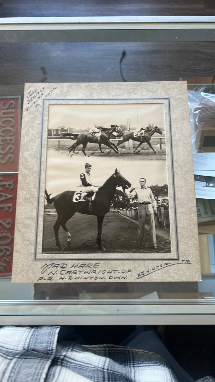 1949 mad hare horse racing photograph