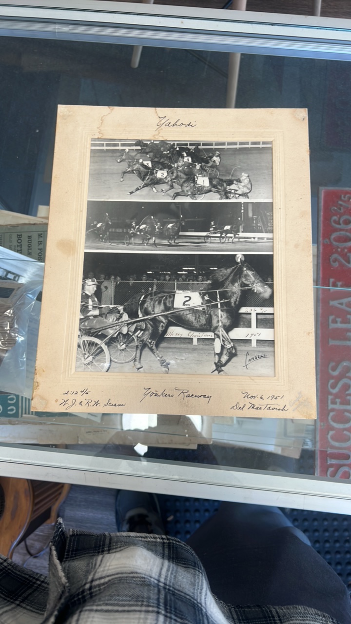 1951 yaho-di horse racing photograph