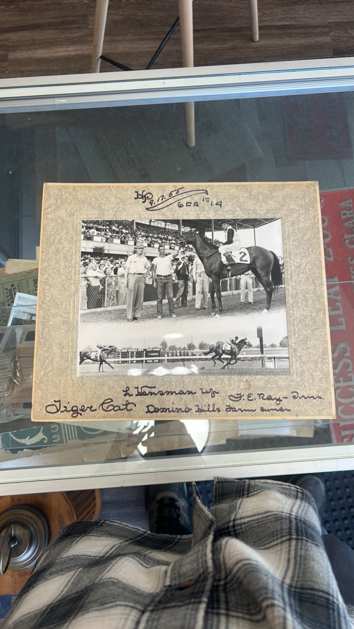 1955 tiger cat horse racing photograph