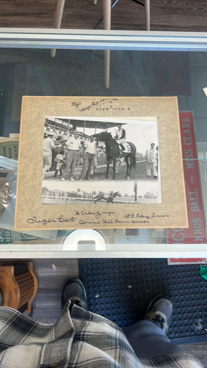 1955 tiger cat horse racing photograph