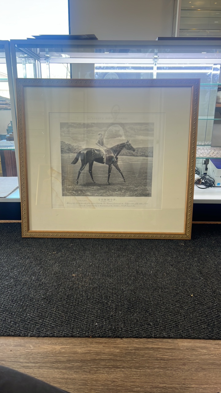 1891 mc queens derby winners common lithography