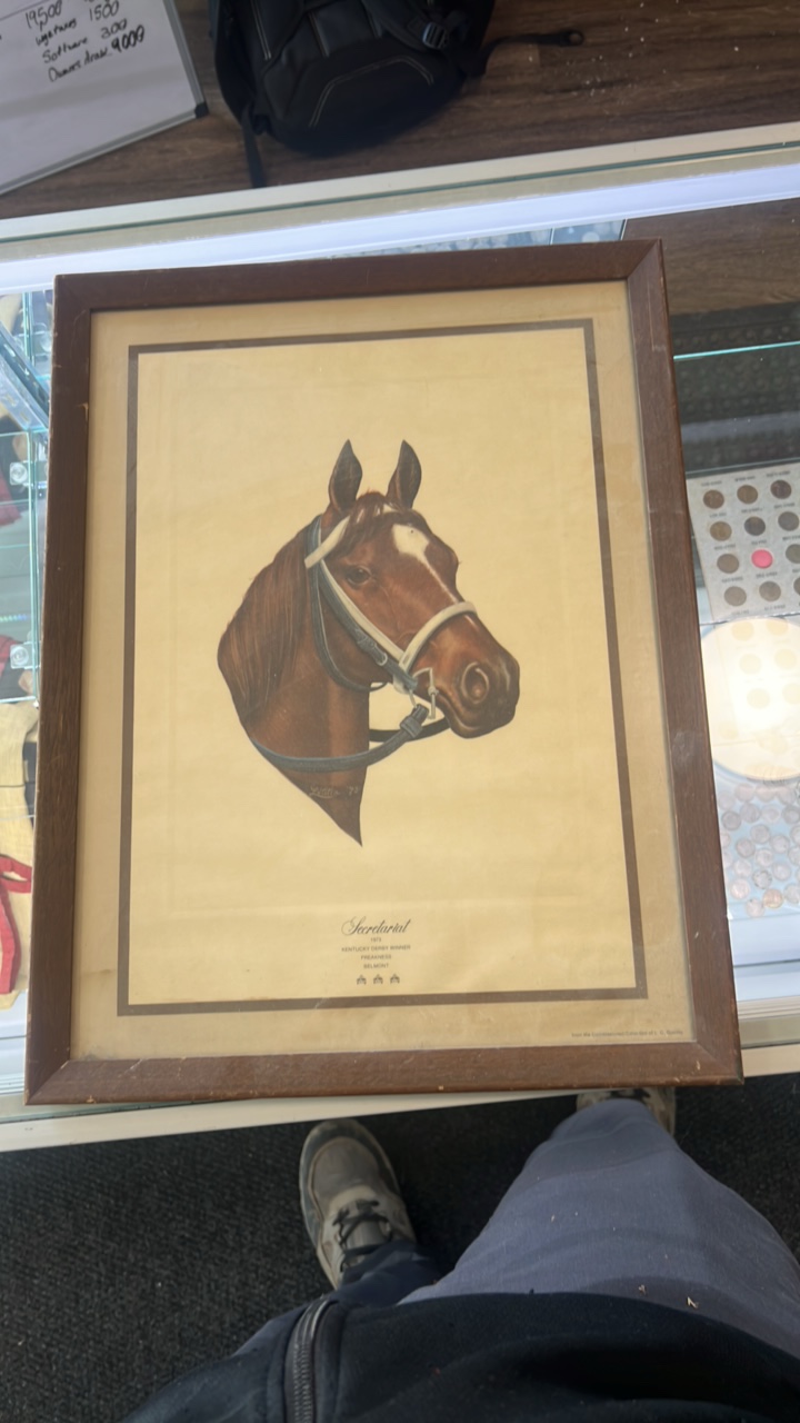 1973 secretariat lithograph