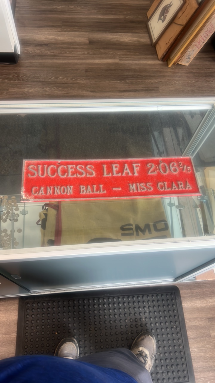 success leaf 206 25 cannon ball - miss clara metal sign