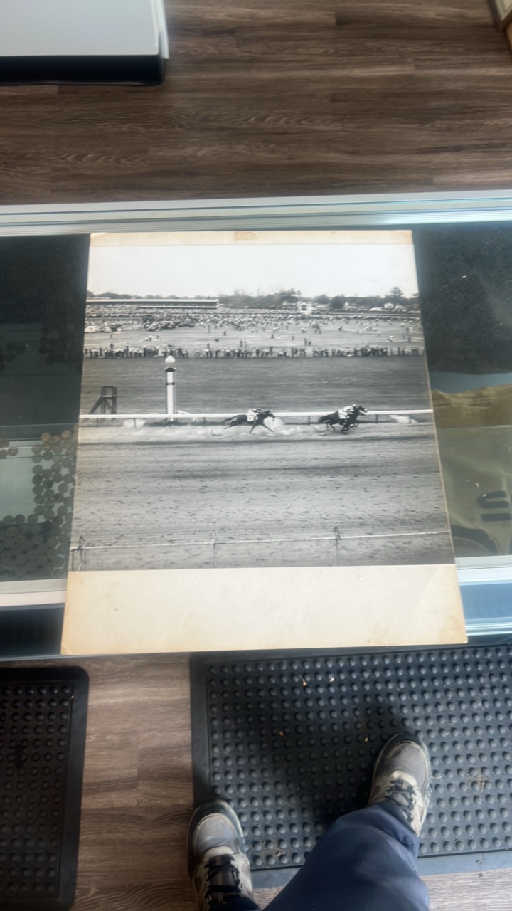 large 1950s horse racing photograph