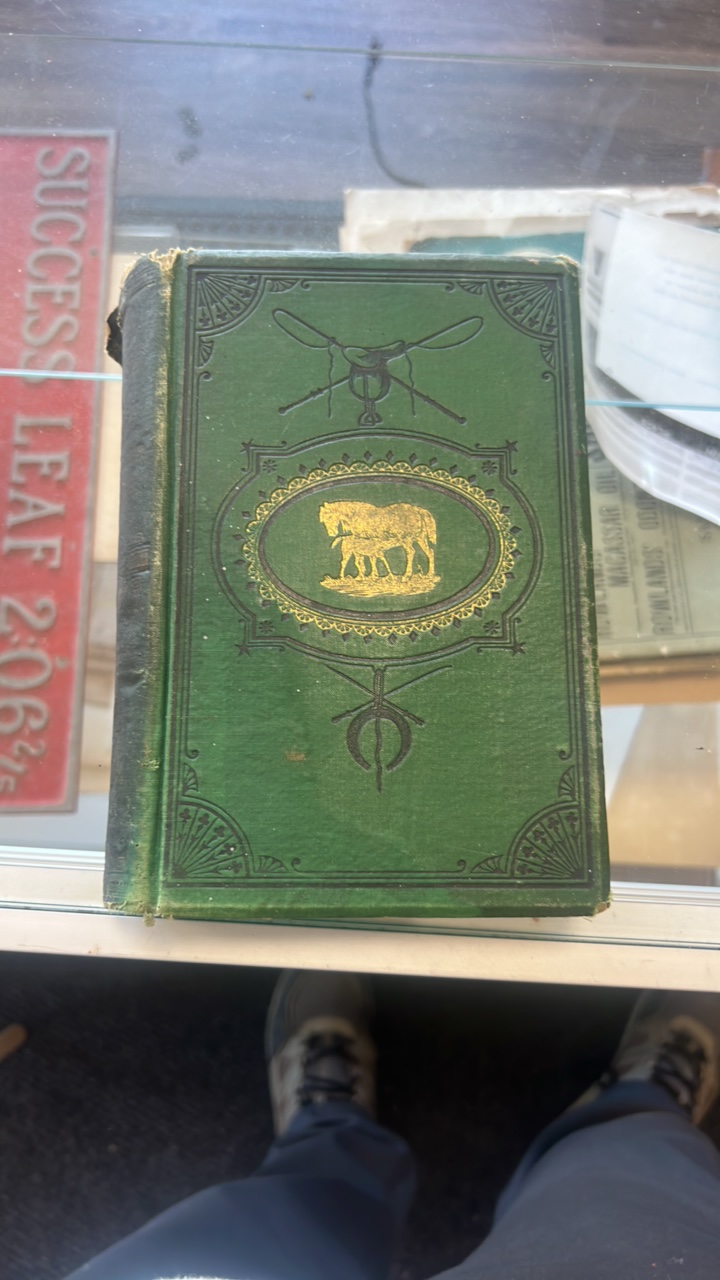 1871 the horse in the stable and the field book