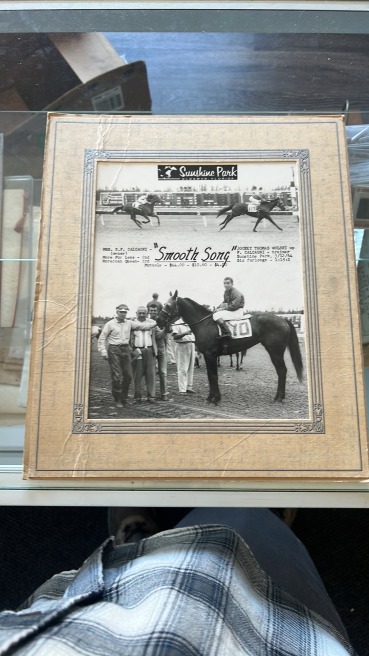 smooth song horse racing photograph
