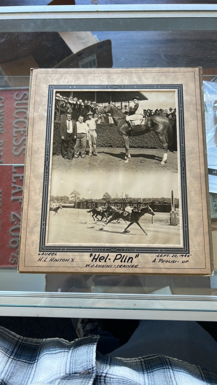 1945 hel-pin horse racing photograph