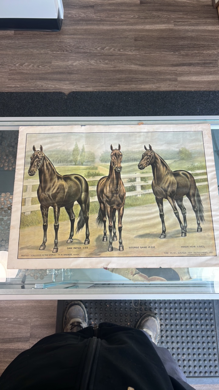 the fastest stallions in the world m.w. savage lithograph