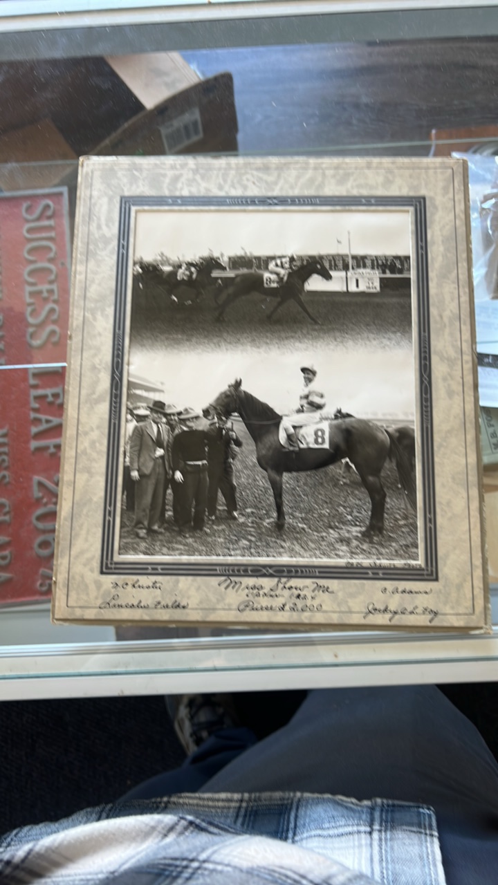 miss show me horse racing photograph