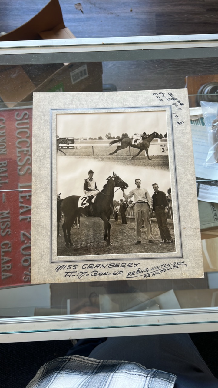 1949 miss cranberry horse racing photograph