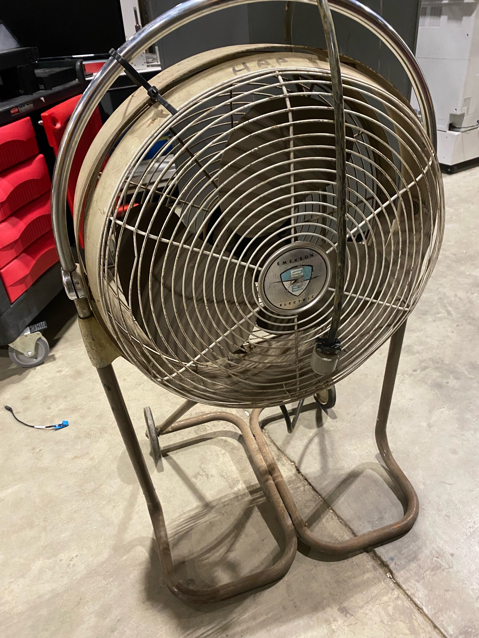 Fan (607730)