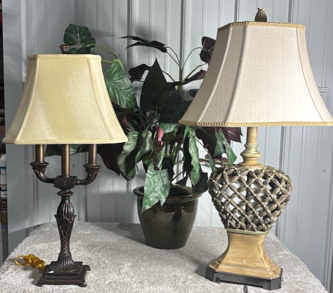 2 Lamps & Plant