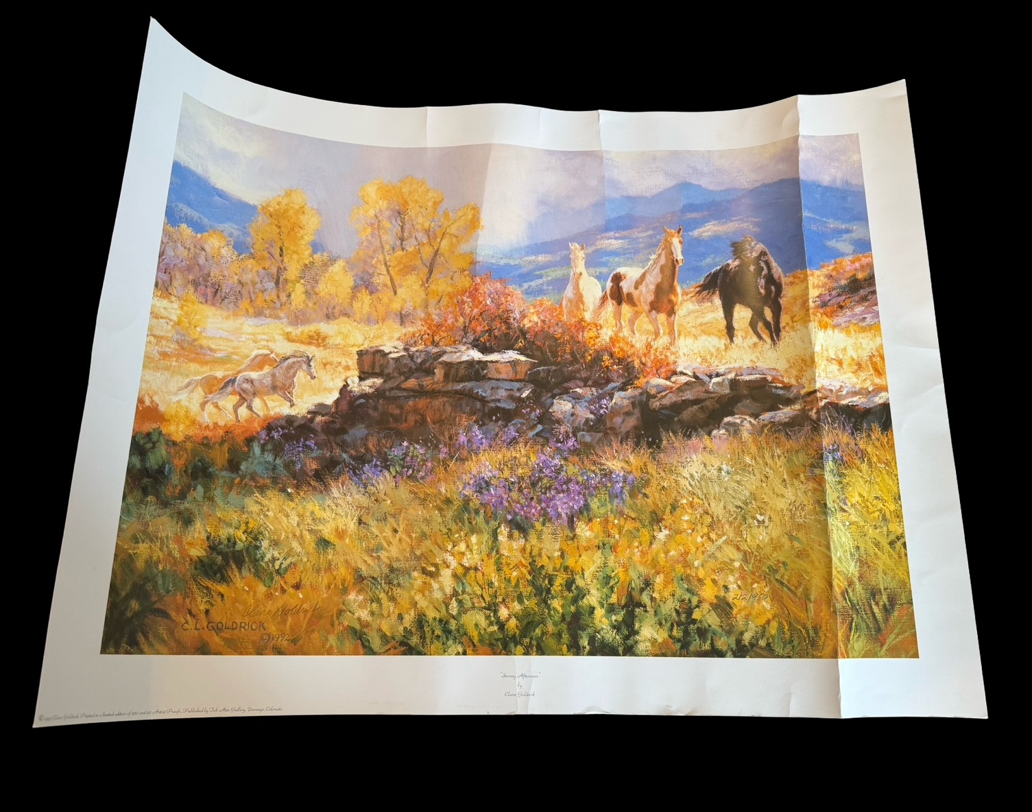 Stormy Afternoon Signed Print by Claire Goldrick