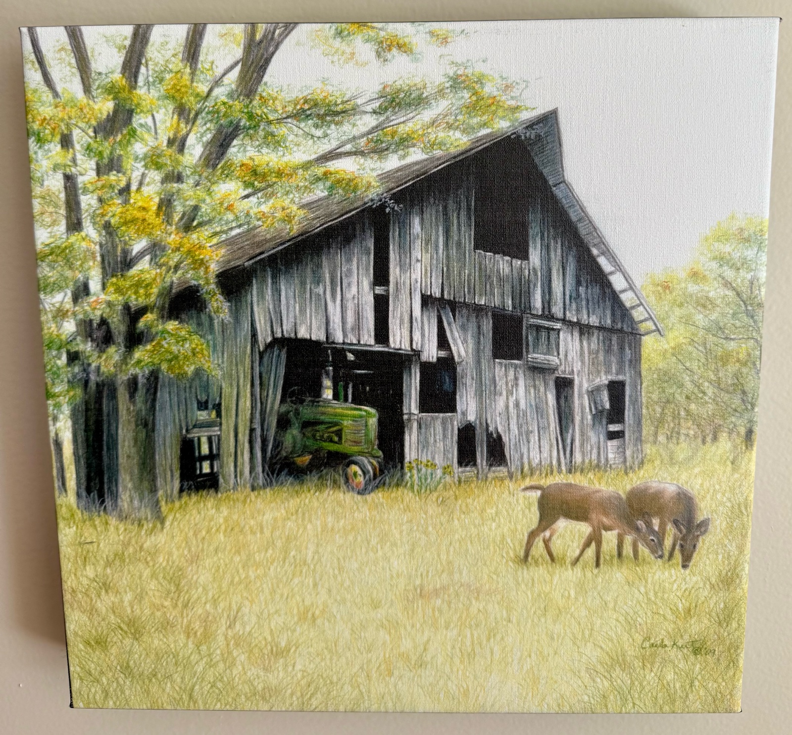 Forgotten Barns by Carla Kurt